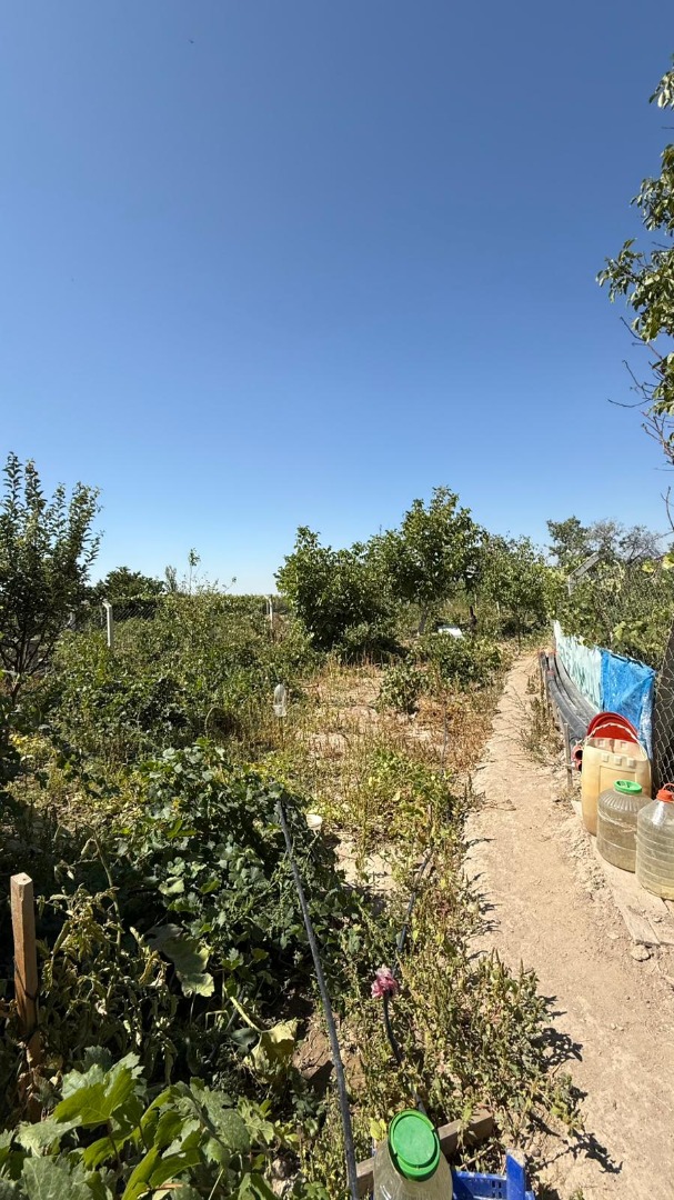 KAYSERİ DEVELİ GÜNEYAŞAĞI MAHALLESİ AKYER MEVKİİNDE SATILIK BAHÇE